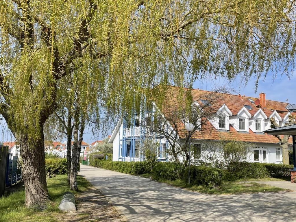 Fewo 27 Strandnahe Ferienwohnung Marlyn Rerik Luaran gambar