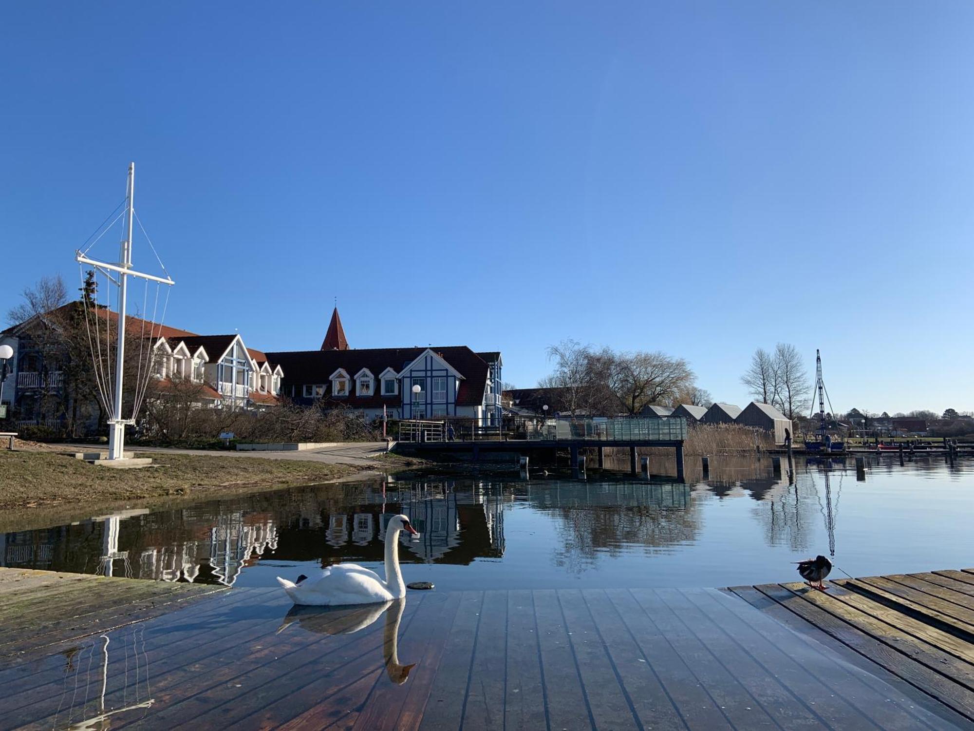 Fewo 27 Strandnahe Ferienwohnung Marlyn Rerik Luaran gambar